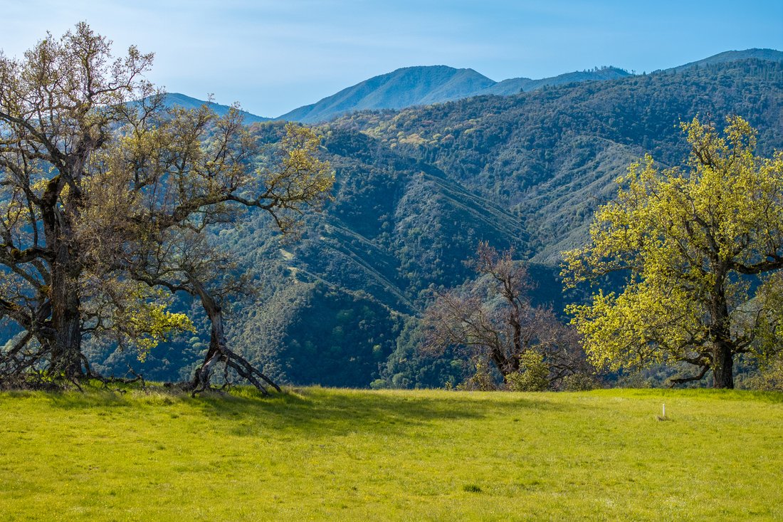 Land in Carmel-by-the-Sea, California, United States 2 - 18032749