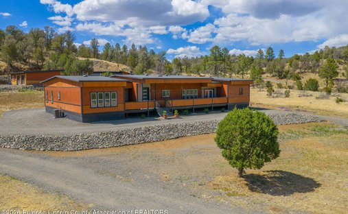 House in Capitan, New Mexico, United States 1