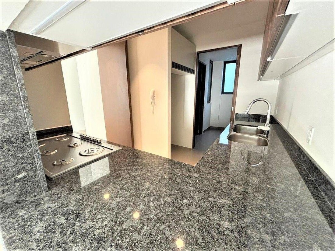Apartment in Mexico City, Mexico 5 - 18031119