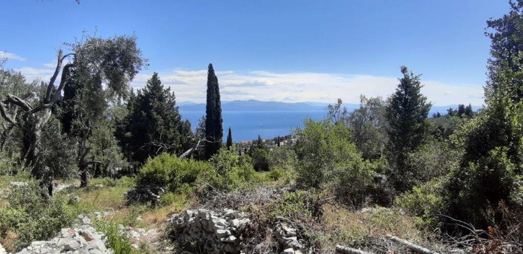 Land in Paxi, Peloponnese, Western Greece and the Ionian, Greece 1 - 18027244