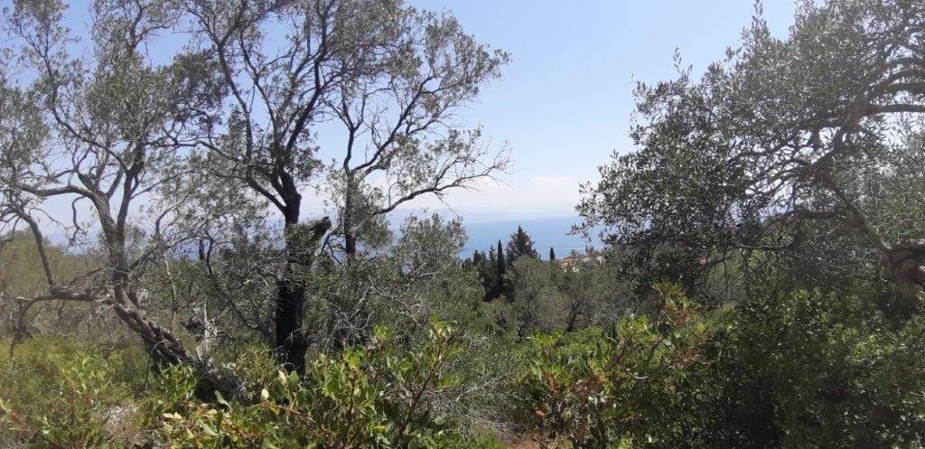Land in Paxi, Peloponnese, Western Greece and the Ionian, Greece 5 - 18027244
