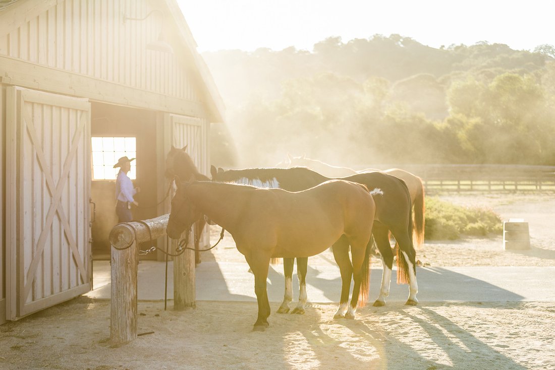 Land in Carmel-by-the-Sea, California, United States 5 - 18032749