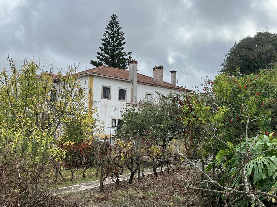Finca in Dois Portos e Runa, Lisbon, Portugal 1 - 18027560