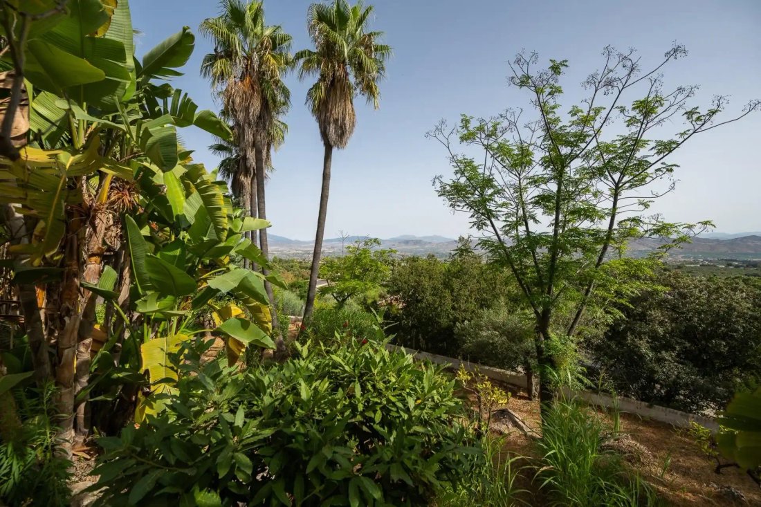 Villa in Alhaurin el Grande, Andalusia, Spain 1 - 18025838
