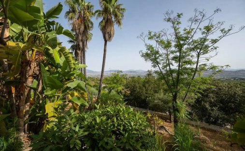 Villa in Alhaurin el Grande, Andalusia, Spain 1