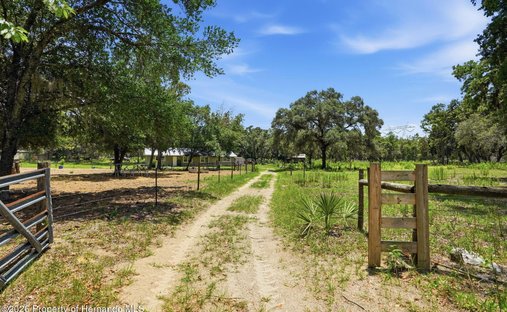 House in Spring Hill, Florida, United States 1