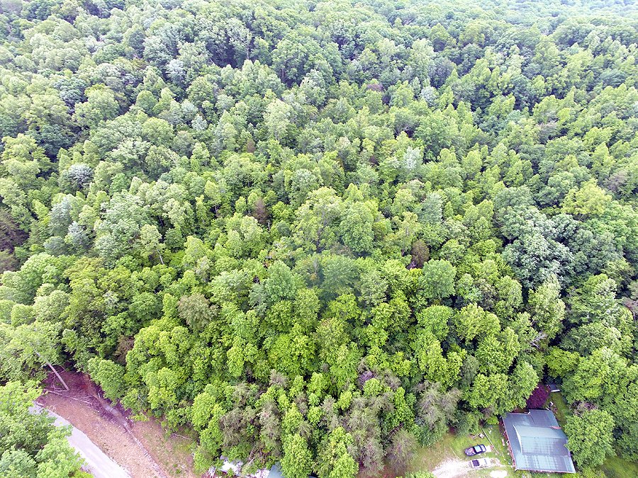 Farm Ranch in Somerset, Kentucky, United States 5 - 18032726