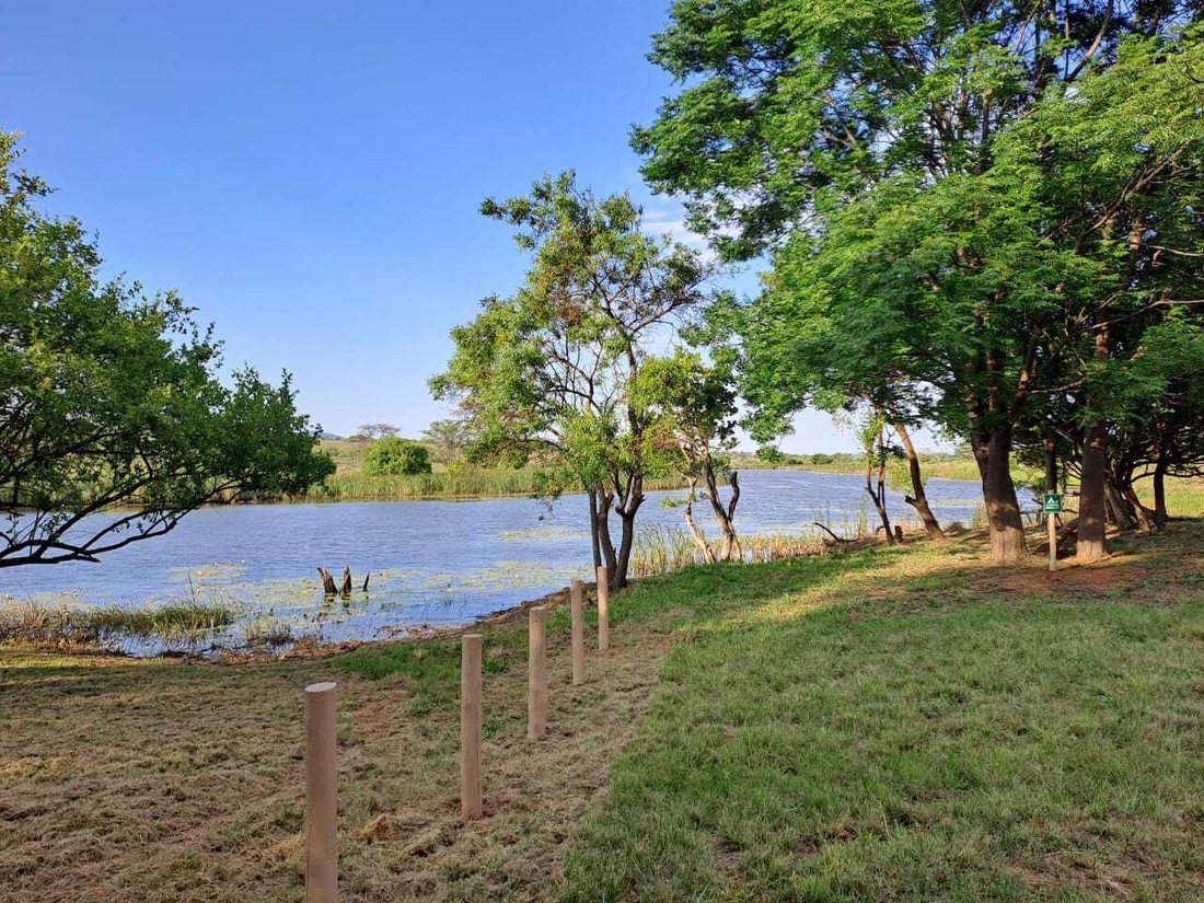 Farm Ranch in Mookgopong, Limpopo, South Africa 3 - 18027964