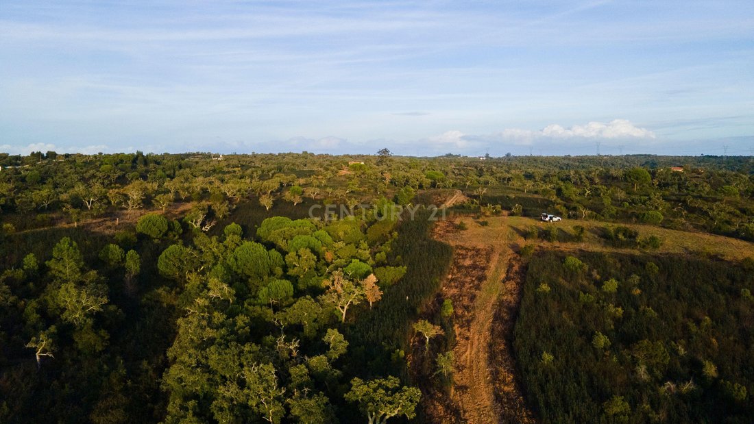 Land in Santiago do Cacem, Santa Cruz e Sao Bartolomeu da Serra, Setubal, Portugal 3 - 18030973