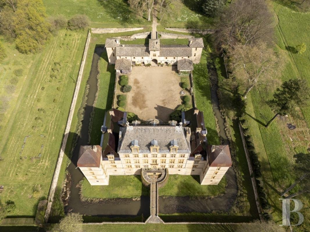 Castle in Fareins, Auvergne-Rhône-Alpes, France 2 - 14235704