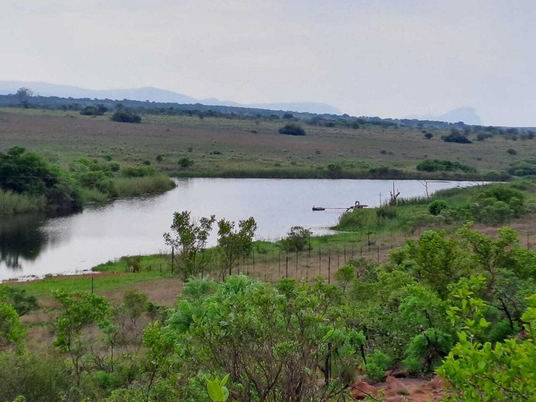 Farm Ranch in Mookgopong, Limpopo, South Africa 1 - 18027964
