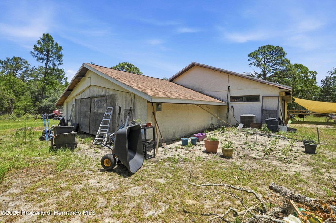 House in Spring Hill, Florida, United States 5 - 18027741