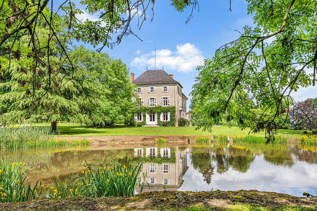 Chateau in Nord et Ouest, Viriat, France 2 - 18027750