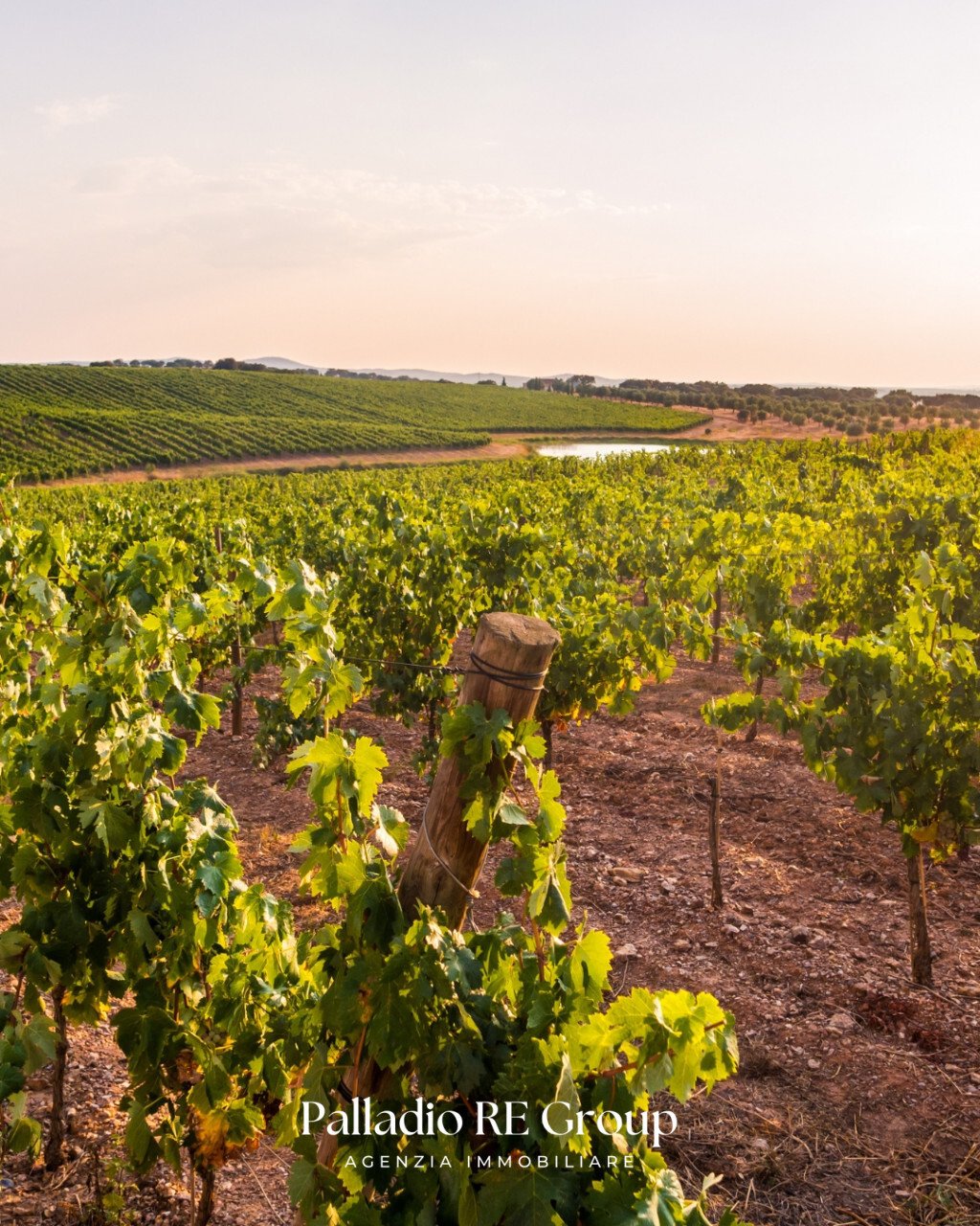 Land in Sant'Ambrogio di Valpolicella, Veneto, Italy 4 - 18032046