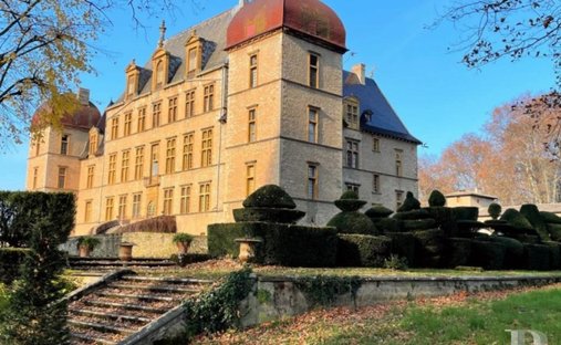 Castle in Fareins, Auvergne-Rhône-Alpes, France 1