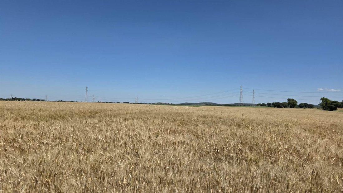 Land in Tarquinia, Lazio, Italy 1 - 18031408