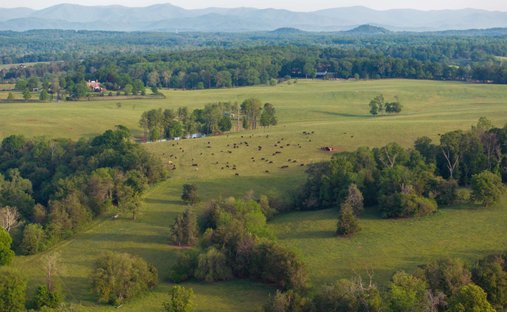 Terreno a Orange, Virginia, Stati Uniti 1
