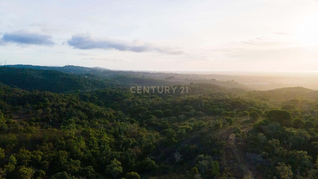 Land in Santiago do Cacem, Santa Cruz e Sao Bartolomeu da Serra, Setubal, Portugal 2 - 18030973