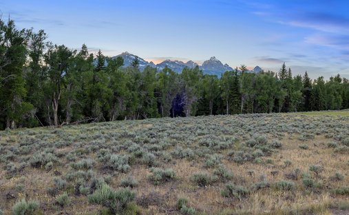 Terrain à Jackson, Wyoming, États-Unis 1