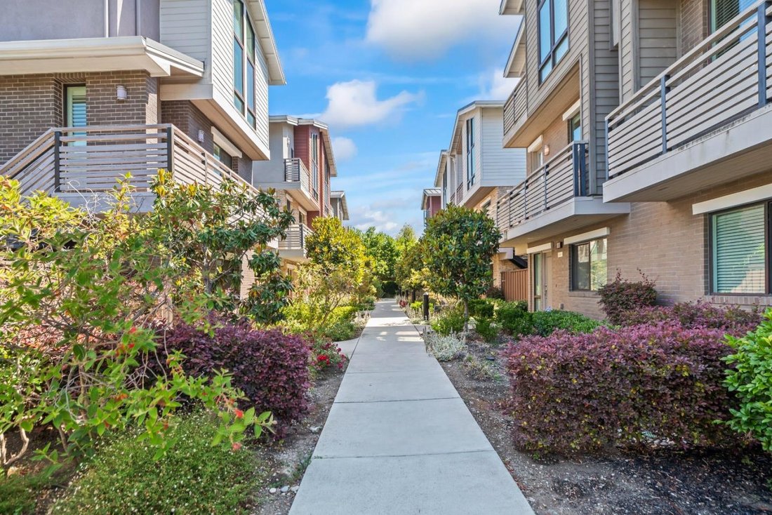 House in Palo Alto, California, United States 3 - 18025671