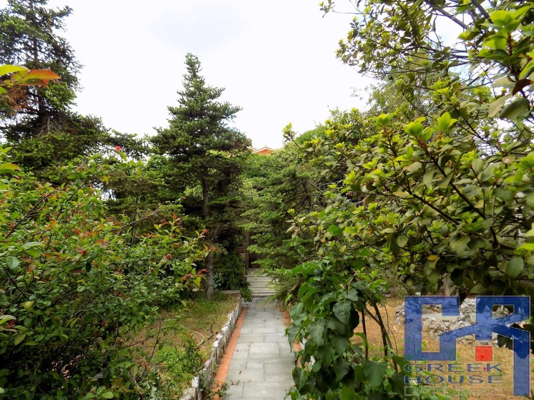 House in Dionysos, Attica, Greece 4 - 16096508