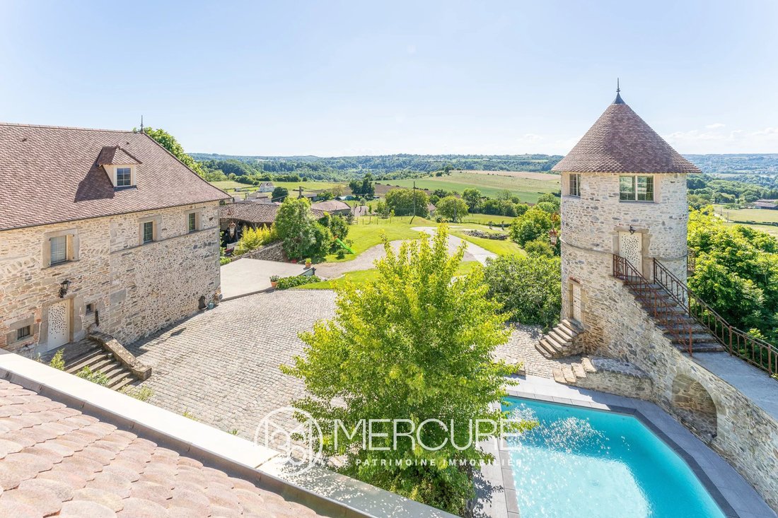 Castle in Oiselet la Grive, Bourgoin-Jallieu, France 3 - 18027293