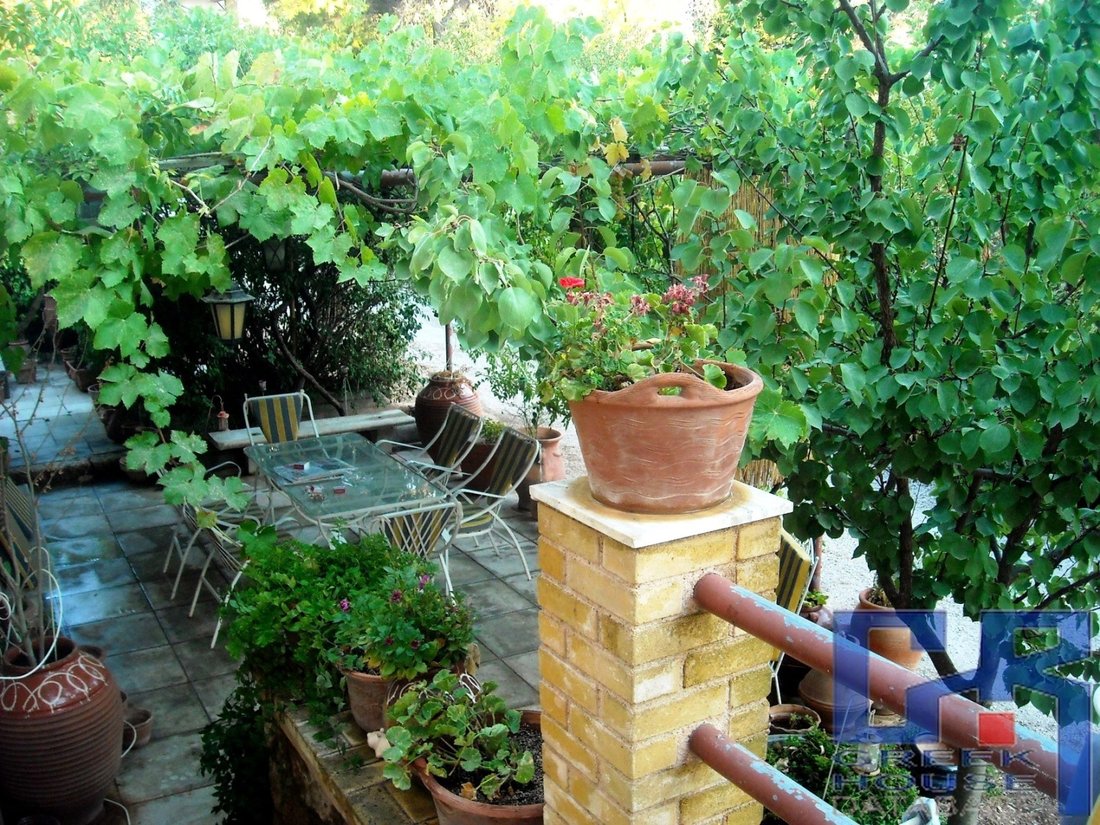 House in Dionysos, Attica, Greece 3 - 16096508