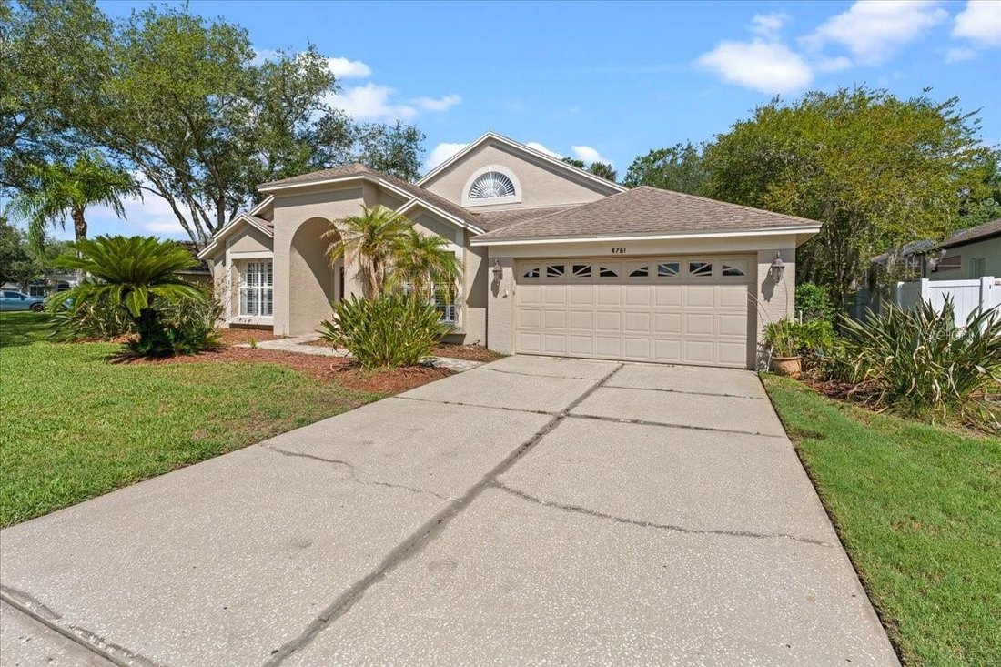 House in Oldsmar, Florida, United States 3 - 18029629