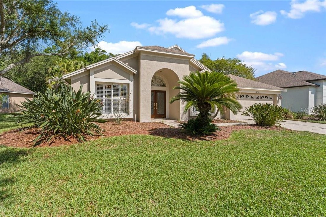 House in Oldsmar, Florida, United States 5 - 18029629