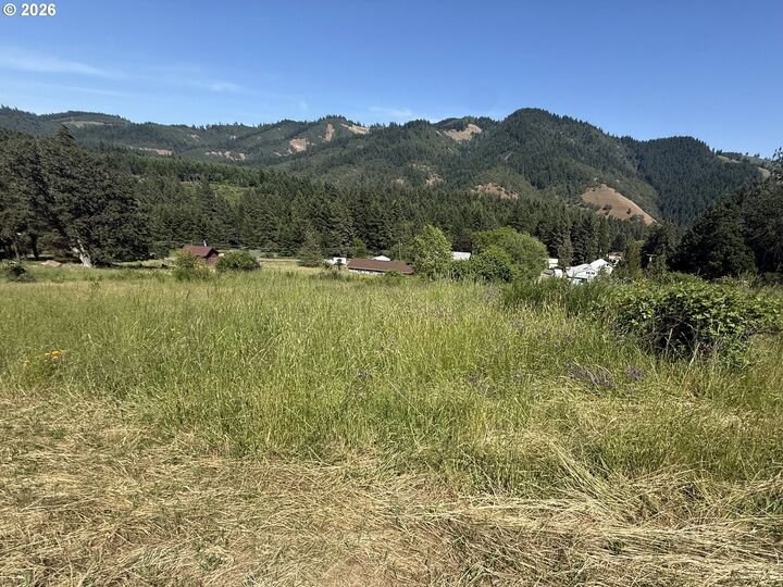 Land in White Salmon, Washington, United States 5 - 18032849