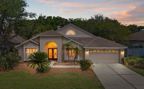 House in Oldsmar, Florida, United States 1