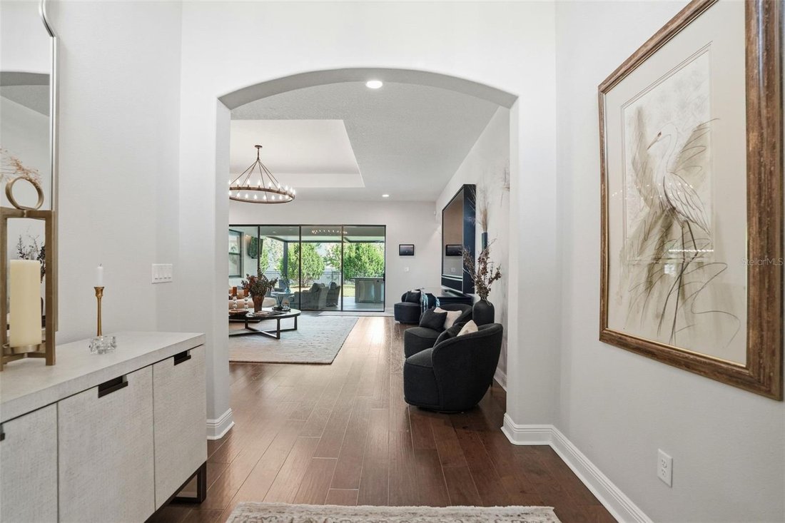 House in Palm Harbor, Florida, United States 5 - 18029718