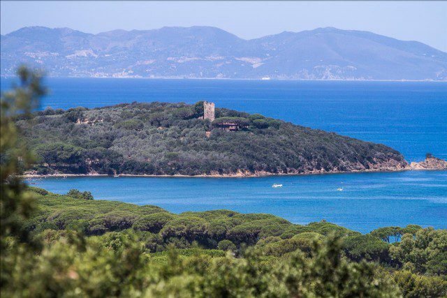 Apartment in Punta Ala, Castiglione della Pescaia, Tuscany 1 - 17359542