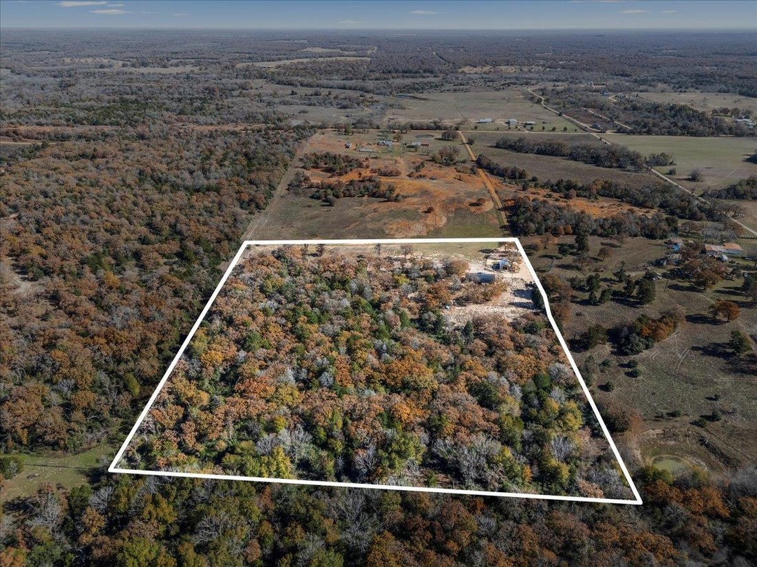Caldwell, Texas, United States 3 - 18029803