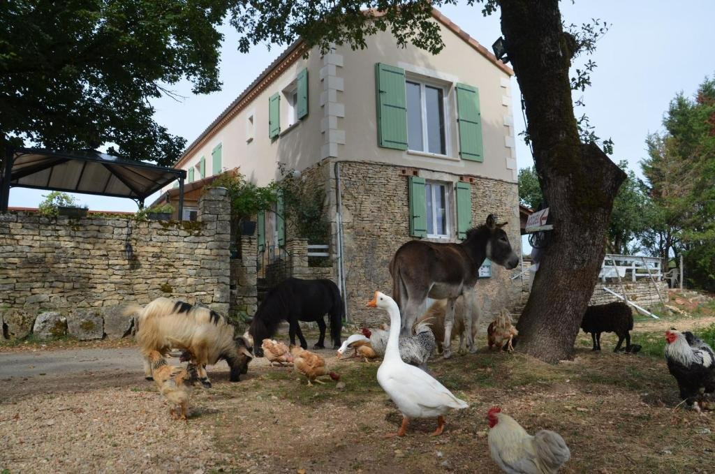 Villa in Gabillou, Nouvelle-Aquitaine, France 4 - 17796526