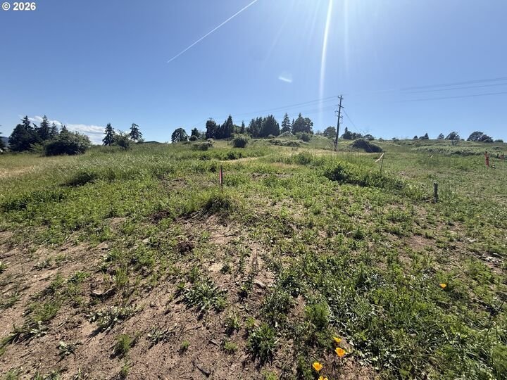 Land in White Salmon, Washington, United States 3 - 18032849