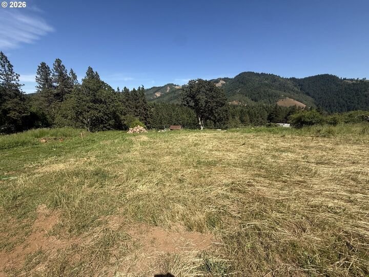 Land in White Salmon, Washington, United States 4 - 18032849