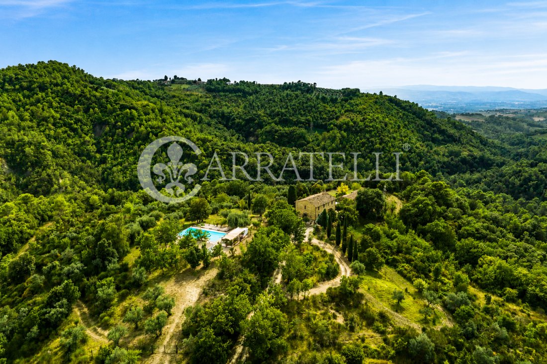 Azienda agricola a Deruta, Umbria, Italia 4 - 13338853