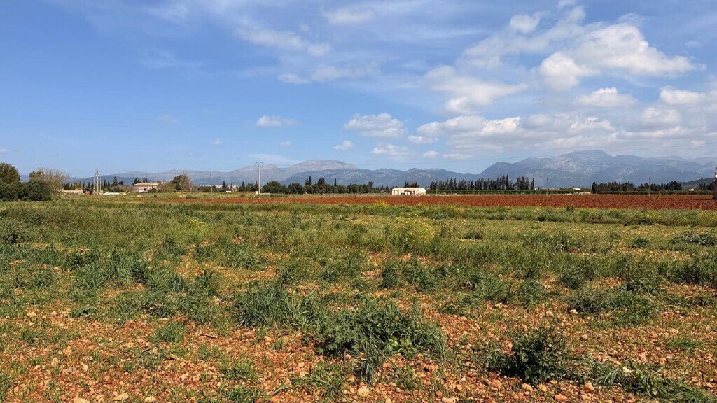 Otros en Llubí, Islas Baleares, España 2 - 18002173