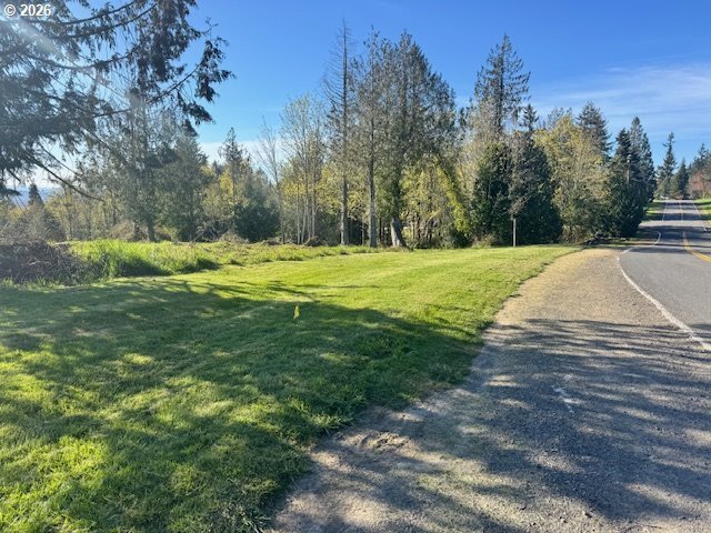 Land in Kelso, Washington, United States 3 - 18031933