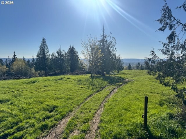 Land in Kelso, Washington, United States 4 - 18031933