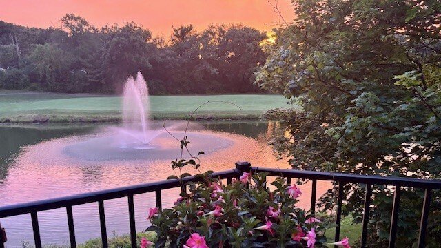 Townhouse in Orland Park, Illinois, United States 5 - 18030255