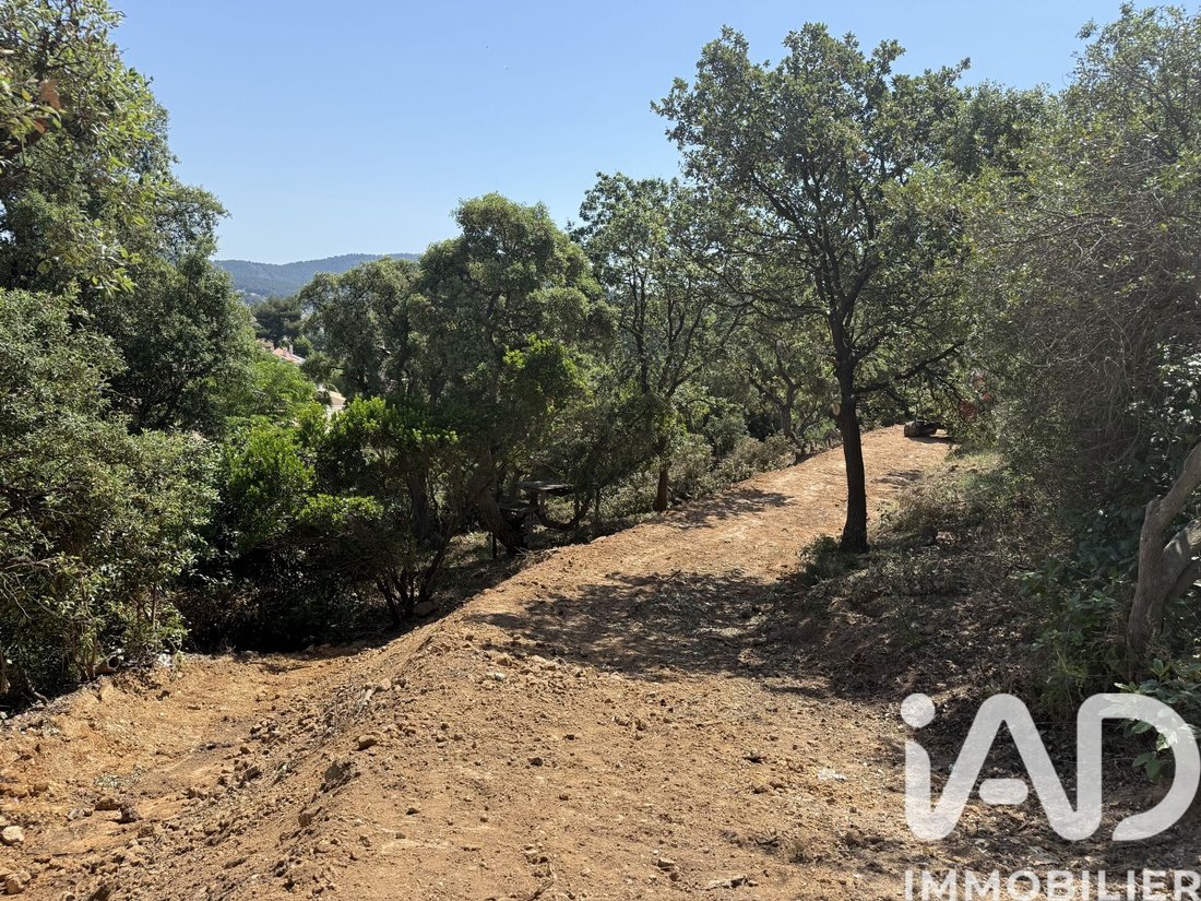 Land in Carqueiranne, Provence-Alpes-Côte d'Azur, France 5 - 18035810
