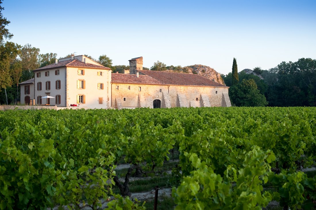 Castle in Châteauneuf-du-Pape, Provence-Alpes-Côte d'Azur, France 1 - 16475844