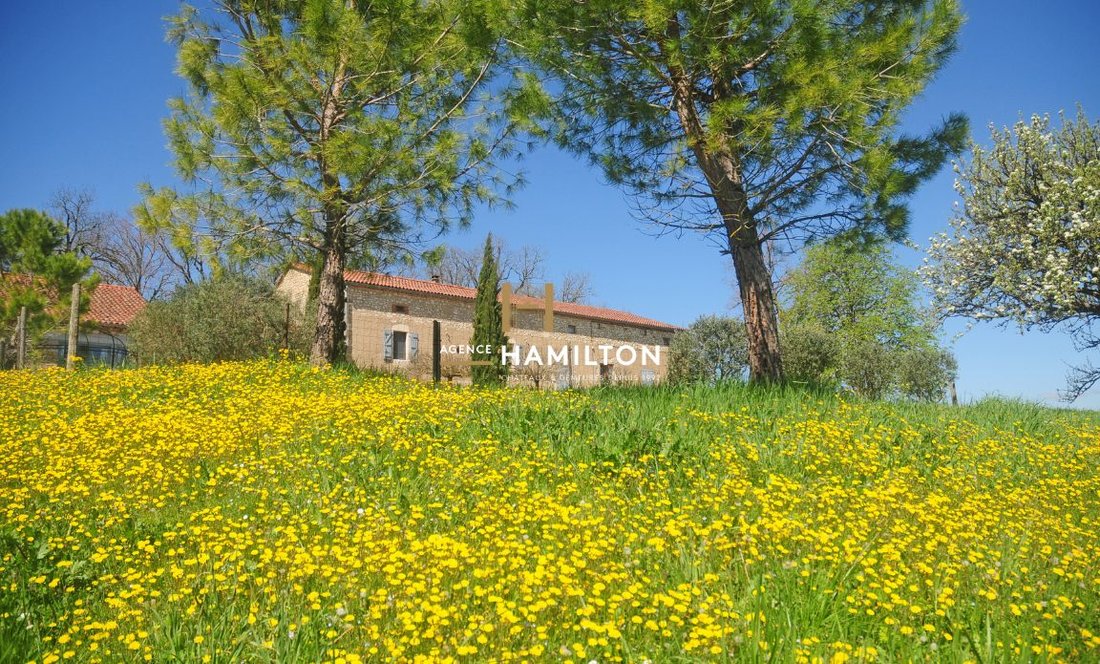 Villa in Périphérique Est, Gaillac, France 2 - 18027794