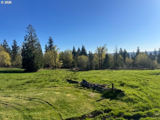 Land in Kelso, Washington, United States 5 - 18031933