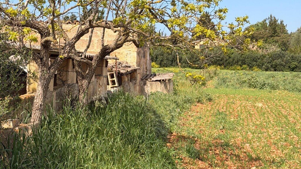 Otros en Llubí, Islas Baleares, España 4 - 18002173