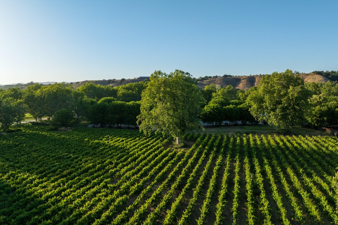 Farm Ranch in Solvang, California, United States 5 - 18028442
