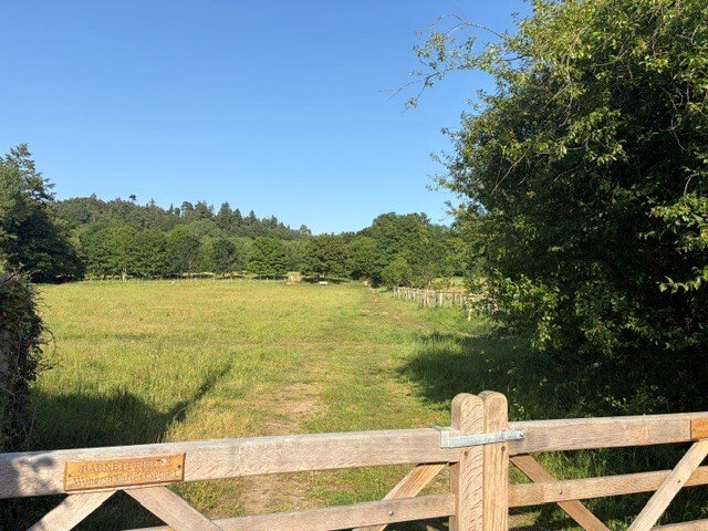 House in Wonersh, England 4 - 17396003