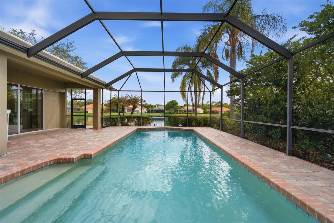 House in Tampa, Florida, United States 3 - 18033239